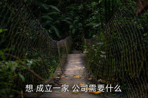 成立公司