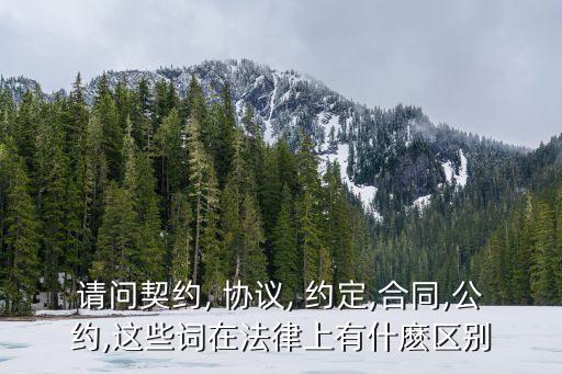 請問契約, 協(xié)議, 約定,合同,公約,這些詞在法律上有什麼區(qū)別