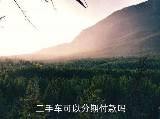  二手車可以分期付款嗎