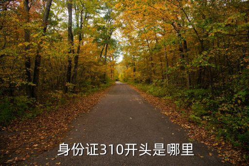  身份證310開(kāi)頭是哪里