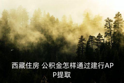  西藏住房 公積金怎樣通過建行APP提取