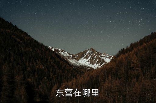 東營在哪里