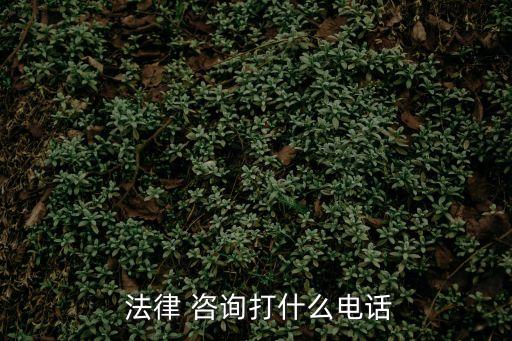  法律 咨詢打什么電話