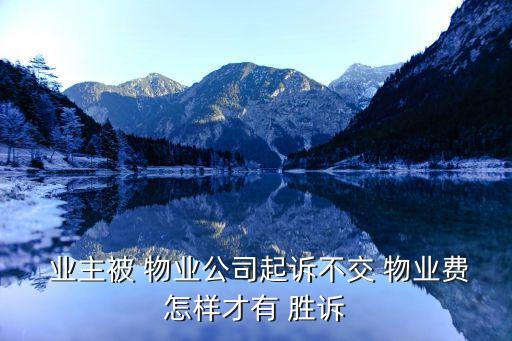 物業(yè)合同糾紛業(yè)主勝訴的案例,2023物業(yè)費(fèi)減免政策標(biāo)準(zhǔn)文件