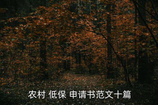  農(nóng)村 低保 申請書范文十篇