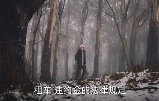 租車一個月3000違約金多少,網(wǎng)約車租賃合同糾紛案例