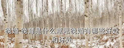 晚婚 晚育是什么意思晚婚有哪些好處和壞處