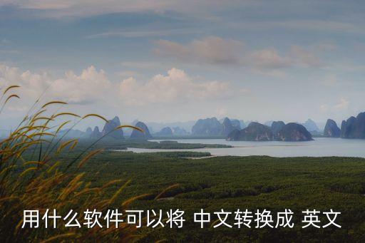 用什么軟件可以將 中文轉(zhuǎn)換成 英文