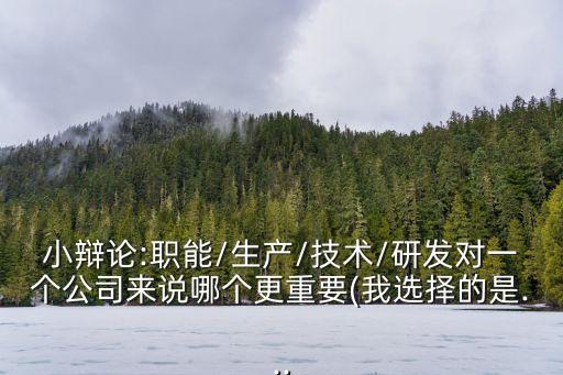 小辯論:職能/生產(chǎn)/技術(shù)/研發(fā)對一個(gè)公司來說哪個(gè)更重要(我選擇的是...