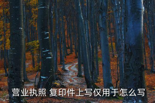  營業(yè)執(zhí)照 復(fù)印件上寫僅用于怎么寫