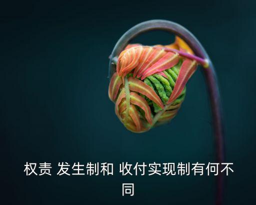  權(quán)責(zé) 發(fā)生制和 收付實(shí)現(xiàn)制有何不同