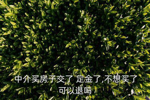  中介買房子交了 定金了,不想買了可以退嗎