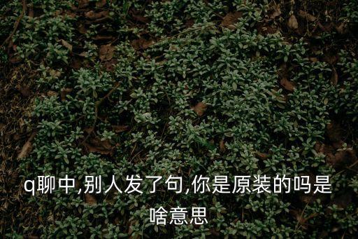 q聊,群聊名稱有創(chuàng)意