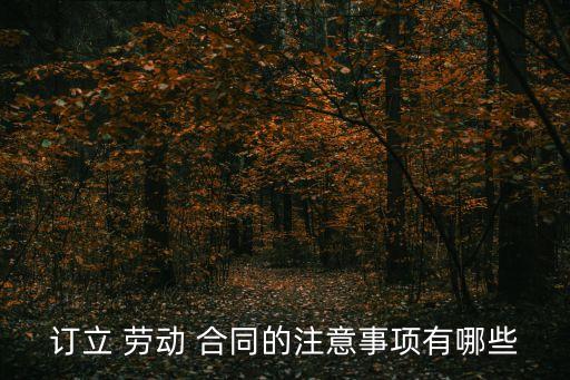 勞動(dòng)合同怎么簽才有法律效力,正規(guī)的勞動(dòng)合同怎么簽