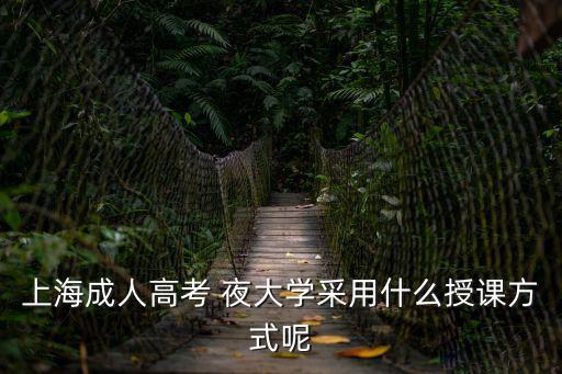 上海成人高考 夜大學(xué)采用什么授課方式呢