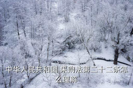 中華人民共和國 采購法第二十二條怎么理解