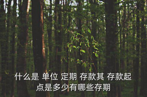 什么是 單位 定期 存款其 存款起點(diǎn)是多少有哪些存期