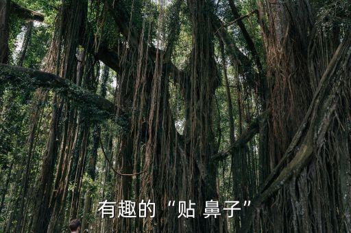 有趣的“貼 鼻子”