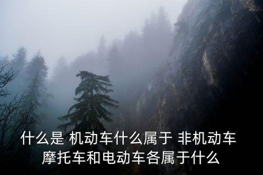 什么是 機(jī)動車什么屬于 非機(jī)動車 摩托車和電動車各屬于什么