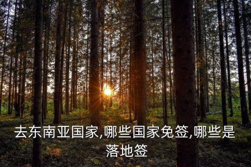 越南是落地簽嗎,2023越南簽證多少錢