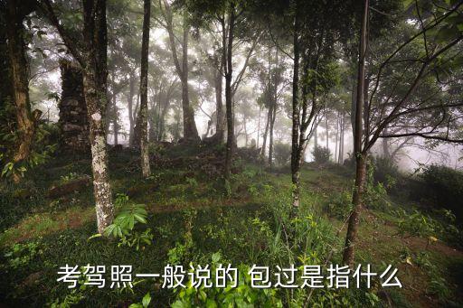 駕校包過