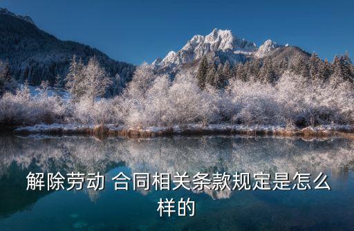  解除勞動 合同相關(guān)條款規(guī)定是怎么樣的