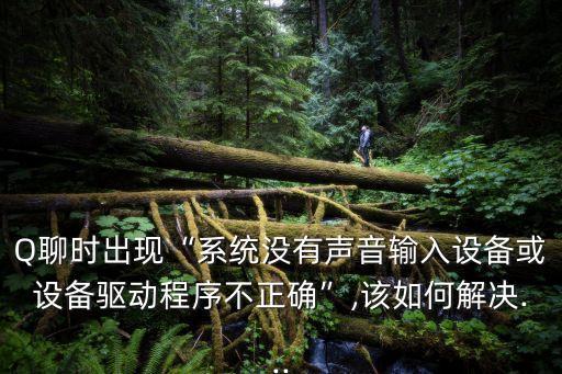 Q聊時出現(xiàn)“系統(tǒng)沒有聲音輸入設(shè)備或設(shè)備驅(qū)動程序不正確”,該如何解決...
