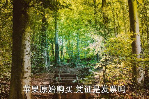 購物憑證,付款記錄能不能作為購物憑證