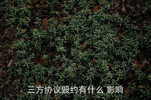 合同違約有哪些影響呢法律