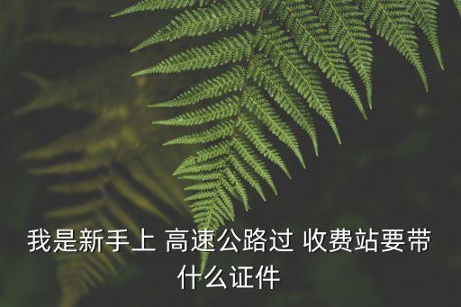 過高速收費站流程,第一次上高速人工收費站流程