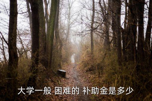 大學一般 困難的 補助金是多少