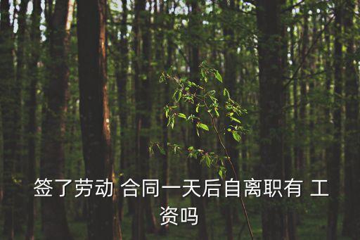 簽了合同第二天不干了有工資嗎,簽了勞務(wù)派遣合同第二天不干了