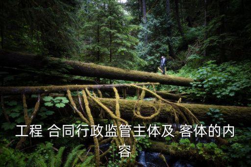 工程 合同行政監(jiān)管主體及 客體的內(nèi)容