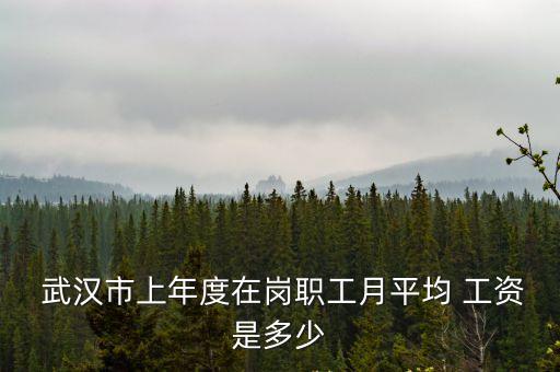  武漢市上年度在崗職工月平均 工資是多少