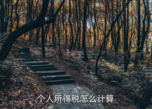 個人所得稅怎么計算