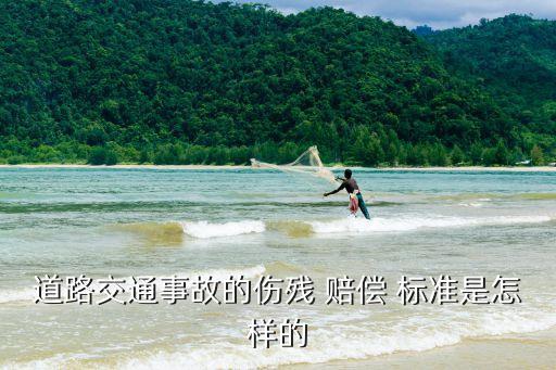 車禍致殘賠償標準,附近的傷殘鑒定中心