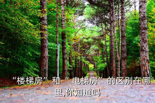 電梯房