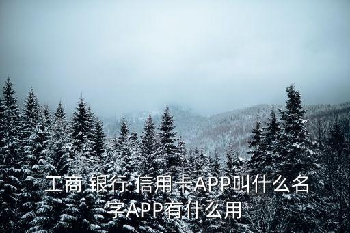  工商 銀行 信用卡APP叫什么名字APP有什么用