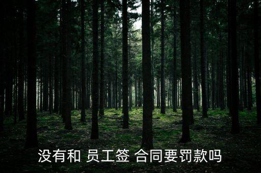 企業(yè)不給員工簽勞動合同怎么處罰,企業(yè)沒簽勞動合同,被員工起訴