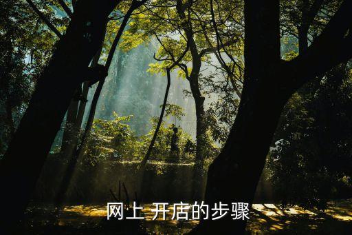  網(wǎng)上 開(kāi)店的步驟