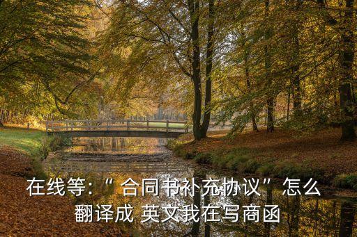 在線等:“ 合同書補充協(xié)議”怎么 翻譯成 英文我在寫商函