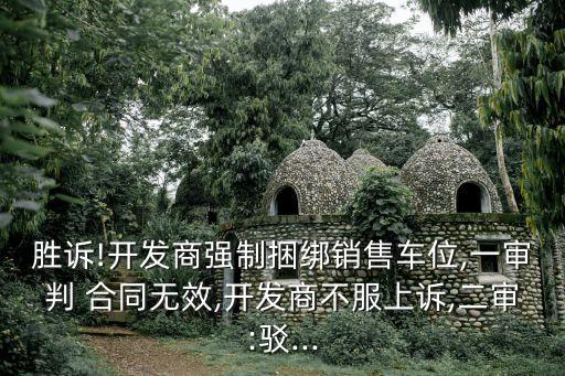 民法典合同糾紛案例分析,房屋買賣合同糾紛案例分析