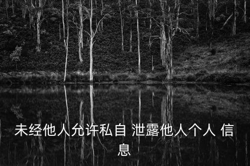 未經(jīng)他人允許私自 泄露他人個人 信息