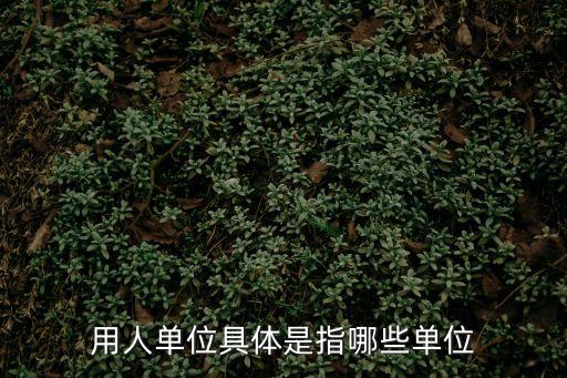 用人單位具體是指哪些單位