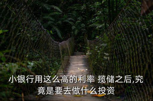 小銀行用這么高的利率 攬儲之后,究竟是要去做什么投資