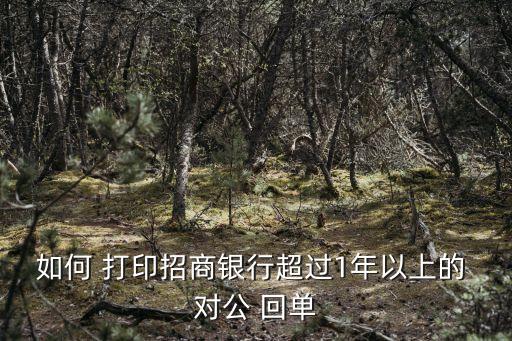 如何 打印招商銀行超過(guò)1年以上的 對(duì)公 回單