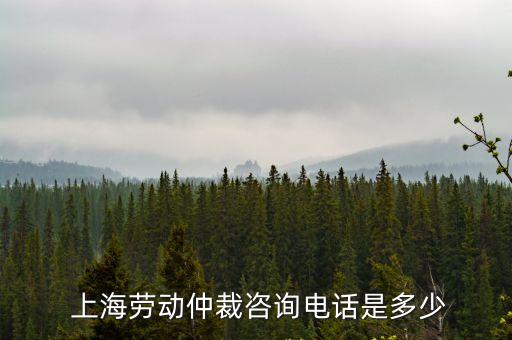 上海仲裁委