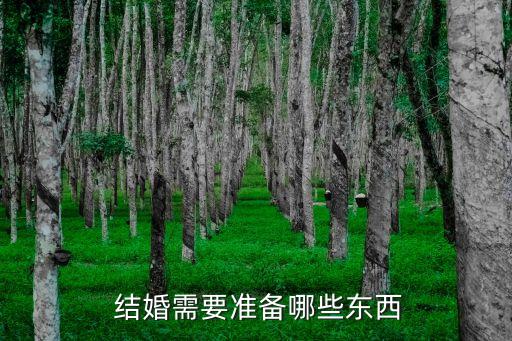 結(jié)婚需要帶什么,男方父母去女方家商量結(jié)婚需要帶什么