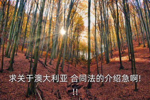 合同法簡(jiǎn)介,最新民法典合同法