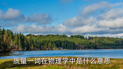 質(zhì)量什么意思,刺客信條起源武器質(zhì)量什么意思